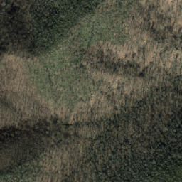 Satellite imagery of Shooting Ridge, US