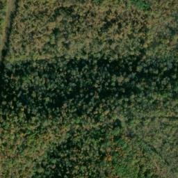 Satellite imagery of Dugger Hollow Prospects, US