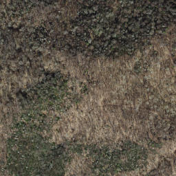 Satellite imagery of Brush Mountain, US
