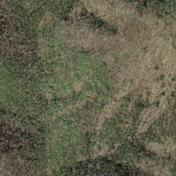 Satellite imagery of Buckhorn Ridge, US