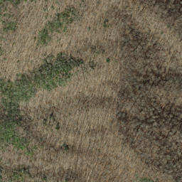 Satellite imagery of Buckhorn Ridge, US
