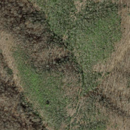 Satellite imagery of Hickorynut Mountain, US