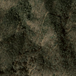 Satellite imagery of Chestnut Ridge, US