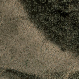 Satellite imagery of Snaggy Bald Ridge, US