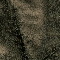 Satellite imagery of Snaggy Bald Ridge, US