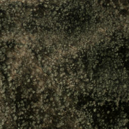Satellite imagery of Old Bald Ridge, US