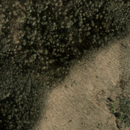 Satellite imagery of Old Bald Ridge, US