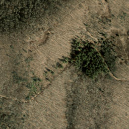 Satellite imagery of Old Bald Ridge, US