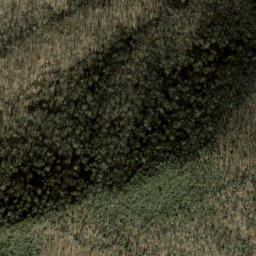 Satellite imagery of Cathey Ridge, US