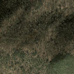Satellite imagery of Cathey Ridge, US