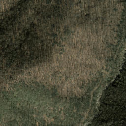Satellite imagery of Cathey Ridge, US