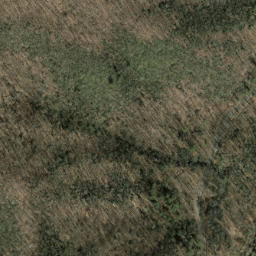 Satellite imagery of Roland Ridge, US