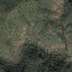 Satellite imagery of Grindstone Ridge, US