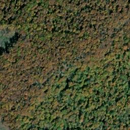 Satellite imagery of Wild Boar Bluff, US