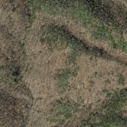 Satellite imagery of Buckhorn Ridge, US