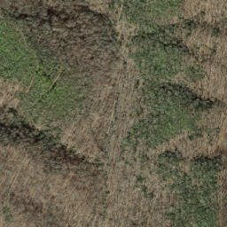 Satellite imagery of Hickorynut Mountain, US