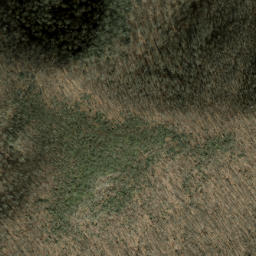 Satellite imagery of Sugarloaf Ridge, US