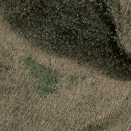 Satellite imagery of Snaggy Bald Ridge, US