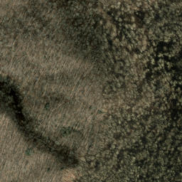 Satellite imagery of Snaggy Bald Ridge, US