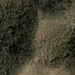 Satellite imagery of Snaggy Bald Ridge, US