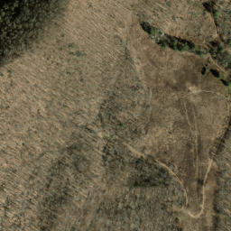 Satellite imagery of Old Bald Ridge, US