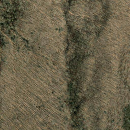 Satellite imagery of Old Bald Ridge, US