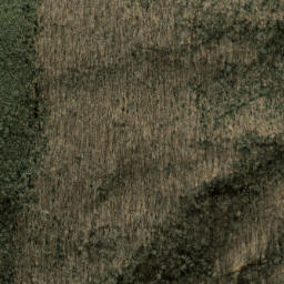 Satellite imagery of Cathey Ridge, US