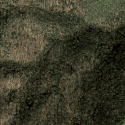 Satellite imagery of Cathey Ridge, US