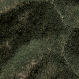 Satellite imagery of Cathey Ridge, US