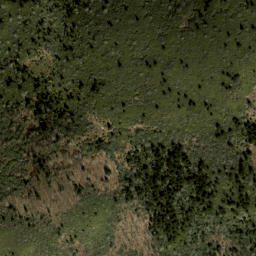 Satellite imagery of Shining Rock Ledge, US