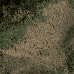 Satellite imagery of Bearpen Ridge, US