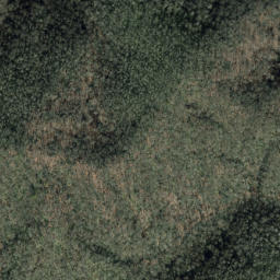 Satellite imagery of Grindstone Ridge, US