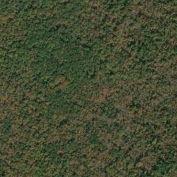 Satellite imagery of Piney Point, US