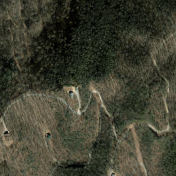 Satellite imagery of Carver Ridge, US