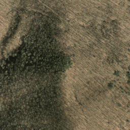 Satellite imagery of Old Bald Ridge, US