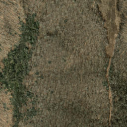 Satellite imagery of Old Bald Ridge, US