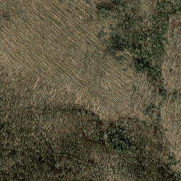 Satellite imagery of Old Bald Ridge, US