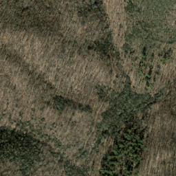 Satellite imagery of Judaculla Ridge, US