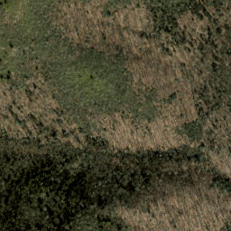 Satellite imagery of Shining Rock Ledge, US