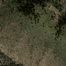 Satellite imagery of Bearpen Ridge, US