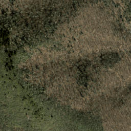 Satellite imagery of Bearpen Ridge, US