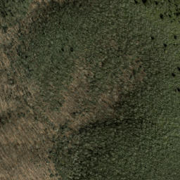 Satellite imagery of Chestnut Ridge, US