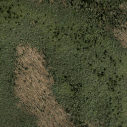 Satellite imagery of Bobs Ridge, US