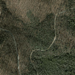 Satellite imagery of Wagon Road Ridge, US
