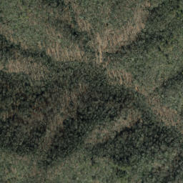 Satellite imagery of Grindstone Ridge, US