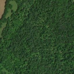 Satellite imagery of Leonard Bluff, US