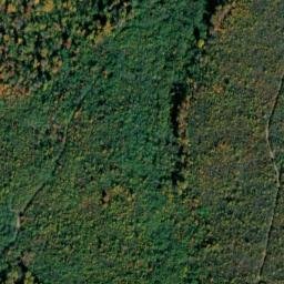 Satellite imagery of Wild Boar Bluff, US