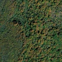 Satellite imagery of Wild Boar Bluff, US