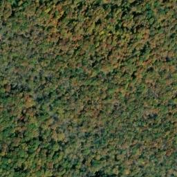 Satellite imagery of Wild Boar Bluff, US