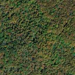 Satellite imagery of Thurman Point, US